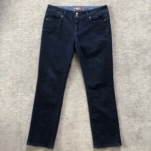 Paige Premium Denim Stretch Darkwash Straight Leg